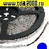 Светодиодная лента 3528 300LED IP65 12Vх24W BLUE