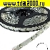 Светодиодная лента 3528 150LED IP68 12Vх12W WHITE