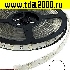 Светодиодная лента 5050 150LED IP68 12Vх36W WHITE