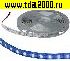 Светодиодная лента 5050 300LED IP33 12V BLUE