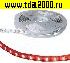 Светодиодная лента 5050 300LED IP33 12V RED