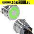 Кнопка антивандальная GQ25PF-11ZE/G/N on-off+off-on