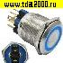 Кнопка антивандальная GQ22-11ZE/B/N on-off+off-on